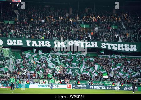Fans von Werder Bremen mit ihren Tüchern und Fahnen, allgemein, Feature, Randmotiv, symbolisches Foto Fußball 1. Bundesliga, 12. Spieltag, SV Werder Bremen (HB) - VfB Stuttgart (S) 2-2 am 09.11.2024 in Bremen. DFL-Vorschriften verbieten die Verwendung von Fotos als Bildsequenzen und/oder Quasi-Video Stockfoto