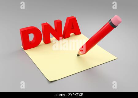 Luxuriöse rote Inschrift DNA auf grauem Podium mit leeren Kästen, weiches Licht, glatter Hintergrund, 3D-Rendering-Illustration Stockfoto