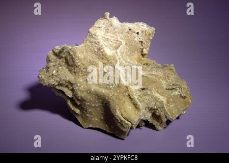 Alte alte versteinerte Holz, Ausgrabung, Mineralien, als schöner Hintergrund Nahaufnahme Vorderansicht schmale Fokuslinie, geringe Tiefenschärfe Makro Stockfoto