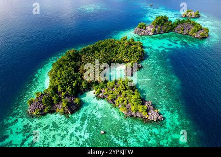 Blick aus der Vogelperspektive auf die wunderschöne kleine Insel, bedeckt mit üppiger tropischer Vegetation im Sombori-Archipel in sulawesi, indonesien, abgeschiedener weißer Strand und Riff Stockfoto