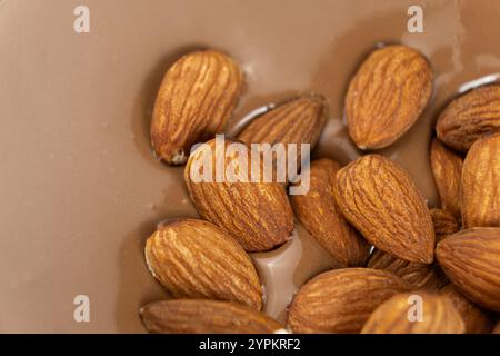Mandelnüsse in geschmolzener Milchschokolade-Makro Stockfoto