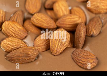 Mandelnüsse in geschmolzener Milchschokolade-Makro Stockfoto