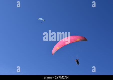 Niedrigwinkelansicht von zwei Tandem-Gleitschirmfliegen vor blauem Himmel, Chamonix, Haute Savoie, Auvergne Rhone Alpes, Frankreich Stockfoto