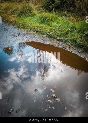 Pfützen Sie die Reflexion von Bäumen und Himmel auf einem Kiesweg in der ländlichen Landschaft Stockfoto