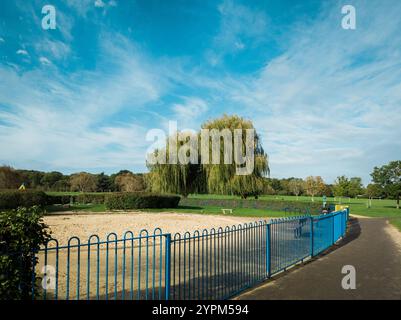 Sunny Park mit blauem umzäuntem Spielplatz, üppigem Grün und einer majestätischen Weide unter einem klaren Himmel Stockfoto