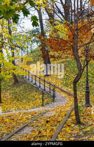 Gelbes Laub auf einem Weg im Park. Treppen entlang des Hügels. Herbstbäume. Stockfoto