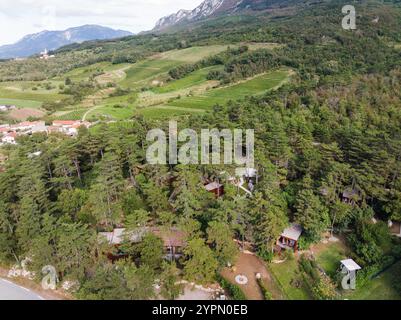Holzhütte im Resort umgeben von üppigem Wald. Drohnenaufnahme aus der Luft Stockfoto