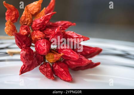 Rote, heiße Paprika für scharfe Speisen, für traditionelle Küche rote, heiße Chili Stockfoto