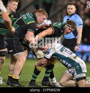 Trevor Davison und Angus Scott-Young aus Northampton spielten beim Gallagher Premiership Rugby-Spiel zwischen Northampton Saints und Gloucester Rugby im Cinch Stadium am 30. November 2024 in London. Stockfoto