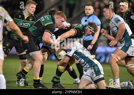 Trevor Davison und Angus Scott-Young aus Northampton spielten beim Gallagher Premiership Rugby-Spiel zwischen Northampton Saints und Gloucester Rugby im Cinch Stadium am 30. November 2024 in London. Stockfoto