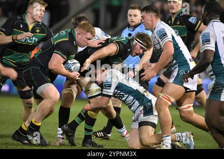 Trevor Davison und Angus Scott-Young aus Northampton spielten beim Gallagher Premiership Rugby-Spiel zwischen Northampton Saints und Gloucester Rugby im Cinch Stadium am 30. November 2024 in London. Stockfoto