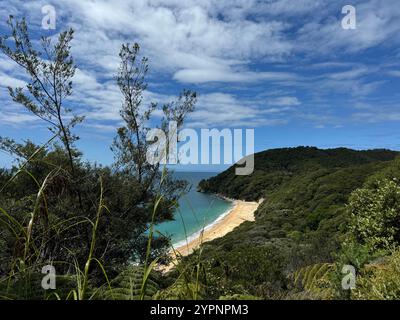 Die Wellen stürzen auf goldenen Sand in der Anapai Bay vom Abel Tasman National Park Stockfoto