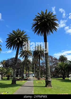 Ein ruhiger Fußweg, gesäumt von hohen Palmen, vor einem hellblauen Himmel mit verstreuten Wolken, in einem gepflegten Park. Stockfoto