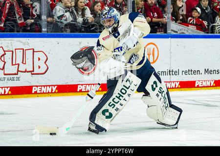 Deutschland. Dezember 2024. Eishockey Penny-DEL 22.Spieltag Koelner Haie - Schwenninger Wild Wings am 01.12.2024 in der Lanxess Arena in Köln Joacim Eriksson ( Schwenningen ) Gemaess den Vorgaben der DEL Deutsche Eishockey Liga ist die Publikation und Weiterverwertung der Aufnahmen in elektronischen Medien und Endgeraeten aller Art waehrend des laufenden Spiels nicht zulaessig. Foto: Revierfoto Credit: ddp Media GmbH/Alamy Live News Stockfoto