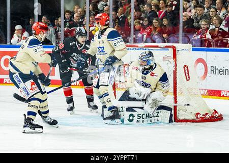 Deutschland. Dezember 2024. Eishockey Penny-DEL 22.Spieltag Koelner Haie - Schwenninger Wild Wings am 01.12.2024 in der Lanxess Arena in Köln Tim Wohlgemuth ( Köln ), links - Daryl Boyle ( Schwenningen ), mitte - Joacim Eriksson ( Schwenningen ), rechts Gemaess den Vorgaben der DEL Deutsche Eishockey Liga ist die Publikation und Weiterverwertung der Aufnahmen in elektronischen Medien und Endgeraeten aller Art zulaufen. Foto: Revierfoto Credit: ddp Media GmbH/Alamy Live News Stockfoto