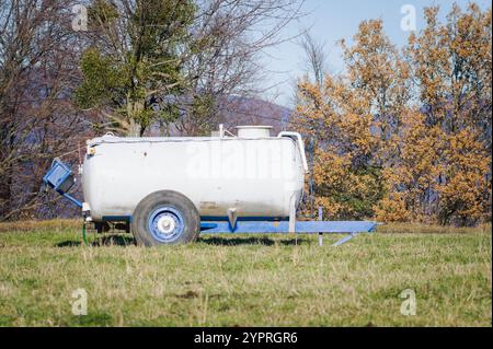 Viehtränke auf der Weide. Gießplatz für Kühe. Stockfoto