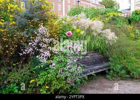 Innere Tempel Stauden Gartenblumen blühen an der Grenze mit Bankgräsern Herbst Oktober 2024 London England Großbritannien Großbritannien KATHY DEWITT Stockfoto