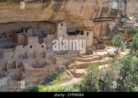 Cliff Palace im Mesa Verde National Park in Colorado, USA Stockfoto