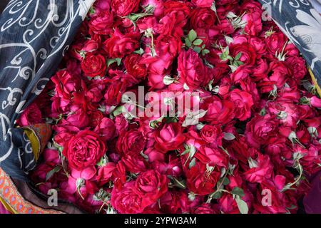 Blick über eine Tüte frisch gepflückter roter Rosen auf einem Blumenmarkt der Bauern Stockfoto