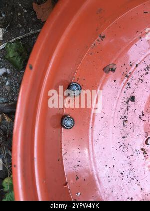 Erdbeerschnecke (Trochulus striolatus) Stockfoto