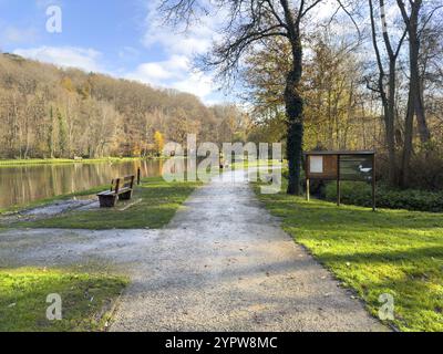 Leere Holzbank vor einem See im Spätherbst-Landschaftspark in Belgien Stockfoto