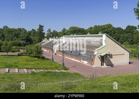 Moskau, Russland, 20. Juni 2021: Traubengewächshaus im Zaritsynski-Park, Moskau. Sonniger Tag im Juni, Europa Stockfoto