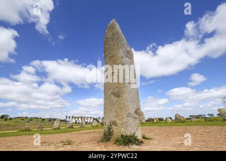 Conjunto de Menhires, Cromlech de Xerez, Monsaraz, Alentejo, Portugal, Europa Stockfoto