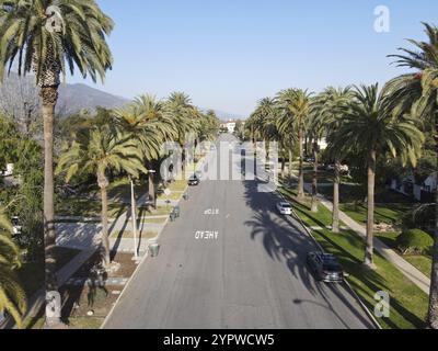 Luftaufnahme der von Palmen gesäumten Straße im Viertel Pasadena im Nordosten der Innenstadt von Los Angeles, Kalifornien, USA, Nordamerika Stockfoto