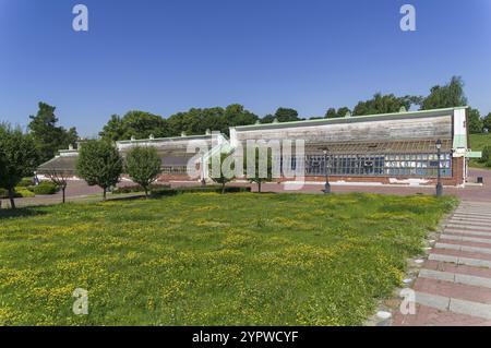 Moskau, Russland, 20. Juni 2021: Traubengewächshaus im Zaritsynski-Park, Moskau. Sonniger Tag im Juni, Europa Stockfoto