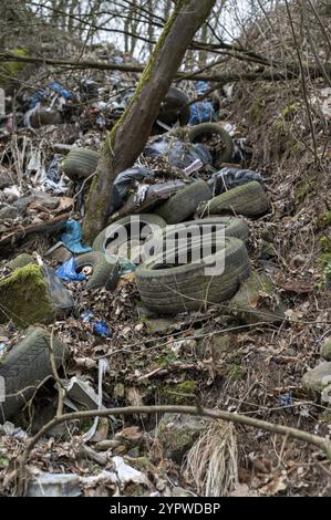 Alte Autoreifen im Wald. Illegales Abkippen von Reifen in der Natur. Umweltverschmutzung Stockfoto