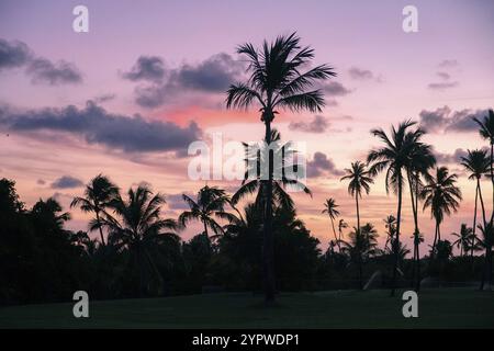 Palmen Silhouetten am tropischen Strand bei farbenfrohen Sonnenuntergang Stockfoto