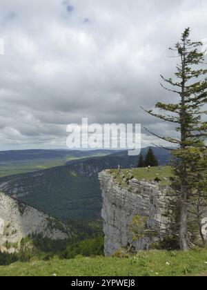 Die Felsenarena von Creux du Van mit 160 m hohen Klippen umgeben ein wunderschönes Tal mit Wald Stockfoto