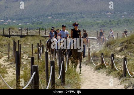 Escursion a caballo por las dunas, Son Serra de Marina, Mallorca, balearen, Spanien, Europa Stockfoto