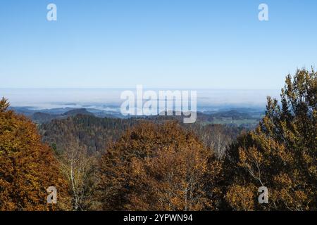 Farbenfroher Herbstwald mit Orangenblättern. Eine schöne Lage im Kanton Zürich an einem schönen Herbsttag. Blick vom Schnebelhorn Stockfoto