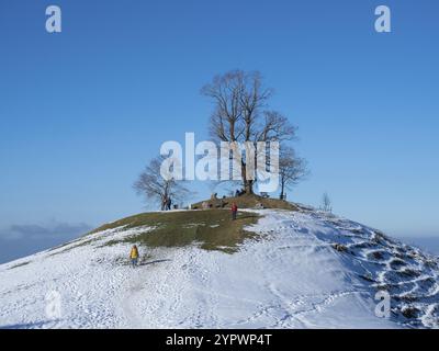 Wunderschöne Landschaft hoch über der Stadt Zug in der Schweiz. Der schneebedeckte Gipfel von Hochwacht mit Wanderern und einem Baum auf der Spitze Stockfoto