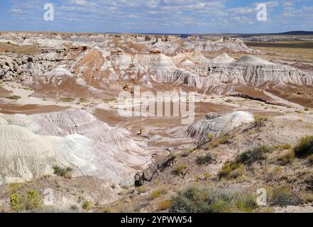 Blick hinunter auf die Painted Desert im Petrified Forest National Forest in Arizona USA Stockfoto