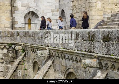 Turistas en la terraza Superior, catedral de Evora, Basilica SE Catedral de Nossa Senhora da Assuncao, Evora, Alentejo, Portugal, Europa Stockfoto