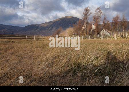 Casa tipica, valle de Glen Coe, Geoparque Lochaber, Highlands, Escocia, Reino Unido Stockfoto