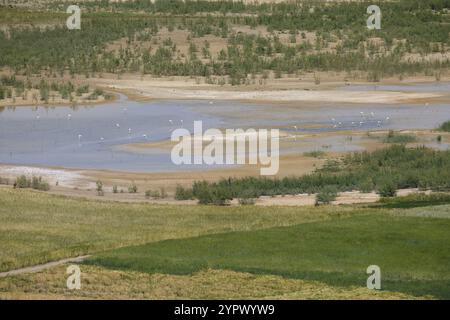 In der Nähe des Sidi Chahed Reservoir, Fes, marokko Stockfoto