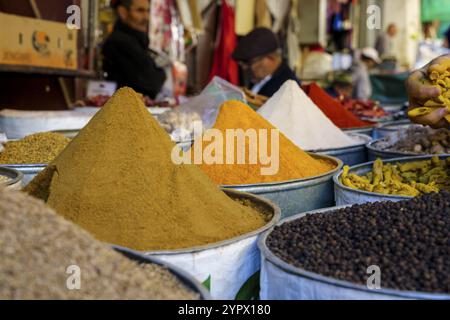 Typisch marokkanische Gewürze, Fès, marokko Stockfoto