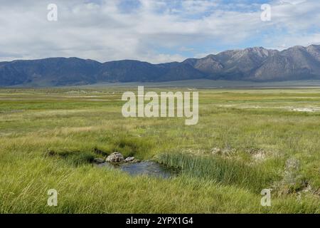 Wild Willy's Hot Spring in Long Valley, Mammoth Lakes, Mono County, Kalifornien. USA. Natürliche heiße Quellen aus alten vulkanischen Aktivitäten Stockfoto