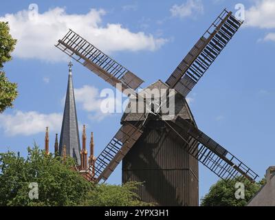 Heilig-Geist-Kirche und Windmühle in Werder an der Havel, Brandenburg. Brandenburg, Deutschland, Europa Stockfoto