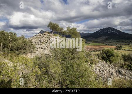 Tumulo de Son Ferrandell-Son Oleza, I milenio A C., Valldemossa, Mallorca, Balearen, spanien Stockfoto