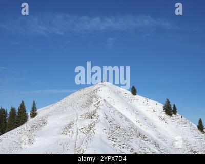 Seekarkreuz ist ein beliebter Wanderberg in den Bayerischen Alpen oberhalb von Lengries. Blick auf den Gipfel unter dem blauen Himmel am Nachmittag sonnig Stockfoto