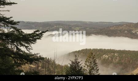 An einem wunderschönen Herbsttag bietet sich der Blick vom Wanderweg zwischen Frinvillier und Chasseral, einem Berg im Schweizer Juramassiv, in ein Tal voller Fo Stockfoto