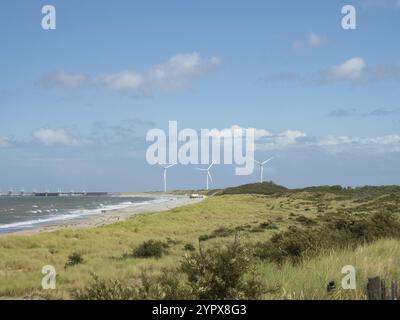 Die Region Zeeland, Niederlande, bietet eine Küstenlandschaft von erstaunlicher Schönheit. Lage eines Strandes vor Windkraftanlagen und Oosterscheldeke Stockfoto