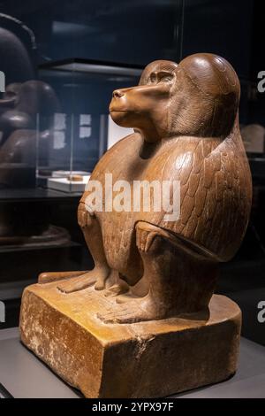 Figur eines hockenden Pavians, roter Quarzit, 18. Dynastie, die Amenhotep III. Regiert, Sammlung des British Museum Stockfoto