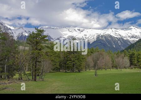Frühling in den kaukasischen Bergen. Nachbarschaft des Dorfes Arkhyz. Karachay-Tscherkessia, Nordkaukasus, Russland. Sonniger Tag Anfang Mai Stockfoto