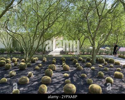 Sunnylands Zentrum und Garten in Rancho Mirage, Wüstenpark, Heimat einer Vielzahl von Pflanzen und Tieren, Kalifornien, USA. September 202 Stockfoto