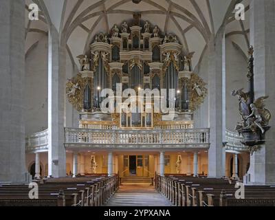 Blick auf die Orgel im Merseburger Dom St. Johannes und St. Laurentius. Sachsen-Anhalt, Deutschland, Europa Stockfoto